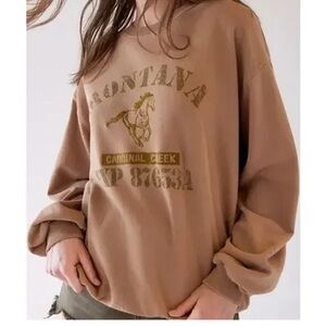 Urban Outfitters Montana Graphic Brown pullover